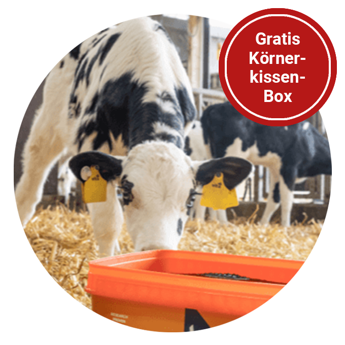 Bubbelbild crystalyx 2025